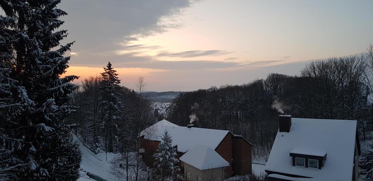 Panorama Hotel Pension Frohnau Bad Sachsa Kültér fotó