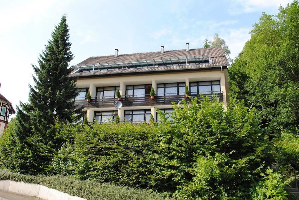 Panorama Hotel Pension Frohnau Bad Sachsa Kültér fotó
