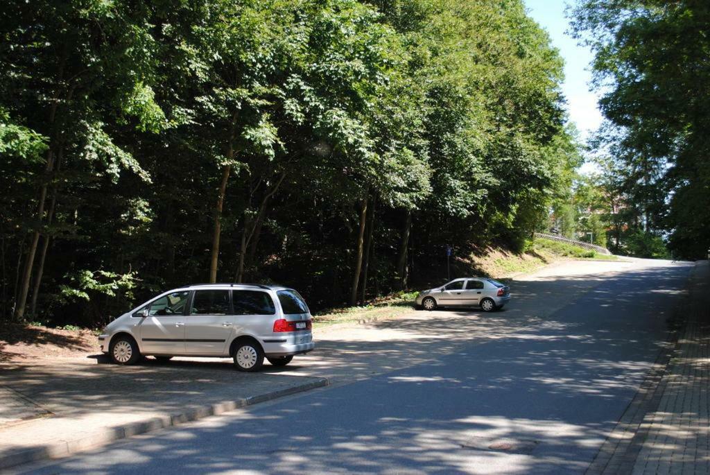 Panorama Hotel Pension Frohnau Bad Sachsa Kültér fotó